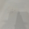 https://cdn.worldota.net/t/100x100/hotel_review/aa/fc/aafc9ce5574b39732b6b22d10e685e03da31bed5.JPEG