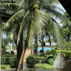 https://cdn.worldota.net/t/100x100/hotel_review/ab/ce/abce9b999761c86349a1d3e6fde036e06033239b.JPEG