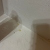 https://cdn.worldota.net/t/100x100/hotel_review/ac/23/ac23ecddd4b946718e299021a124b1baa78176bb.JPEG