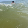 https://cdn.worldota.net/t/100x100/hotel_review/ac/62/ac62c9e0572dcd149ec85794beec7b86588a1d65.JPEG
