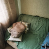 https://cdn.worldota.net/t/{size}/hotel_review/ac/82/ac820959b012da3e2279c796aaa31da012d8162c.JPEG