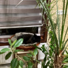 https://cdn.worldota.net/t/{size}/hotel_review/b0/0c/b00c5fdc89b441b7f656e9e4b716c6405fe69bdc.JPEG