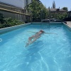 https://cdn.worldota.net/t/100x100/hotel_review/b0/28/b0288230fa222407e686ec68d9715519bd6f377d.JPEG