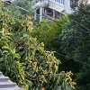 https://cdn.worldota.net/t/100x100/hotel_review/b0/74/b07493f72bb547bfd9fd48d5ec51f220efd8aa21.JPEG