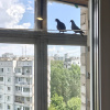 https://cdn.worldota.net/t/100x100/hotel_review/b0/a8/b0a8327a081bed3ed1313ccda2362a0104b006aa.JPEG