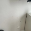 https://cdn.worldota.net/t/100x100/hotel_review/b0/a8/b0a8a6fe63ad5facfd0d0edfb80da665bcac4dc2.JPEG