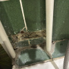 https://cdn.worldota.net/t/100x100/hotel_review/b0/c6/b0c673a35a7f6294806c00be10fdb449dd201377.JPEG