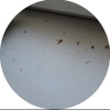 https://cdn.worldota.net/t/100x100/hotel_review/b0/e4/b0e4219d618a7d1b09641ee2ca9ae80b4d7310fa.JPEG