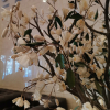https://cdn.worldota.net/t/100x100/hotel_review/b1/5e/b15e72eb4ac4a4ef44436aa7615bcb998a93d410.JPEG