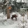 https://cdn.worldota.net/t/{size}/hotel_review/b3/57/b357c89accac8a2bf26c7792735642fa75917ca7.JPEG