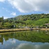 https://cdn.worldota.net/t/{size}/hotel_review/b3/c1/b3c1363559460490b8fe0ff1f3c5b5889883d6aa.jpeg