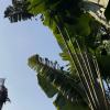 https://cdn.worldota.net/t/100x100/hotel_review/b3/cc/b3cc6e6f7147ea7decb53fa99ab755e30f622190.JPEG