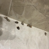 https://cdn.worldota.net/t/100x100/hotel_review/b5/5f/b55f3611e2381d9091960dd7870f208eba530855.JPEG