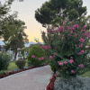 https://cdn.worldota.net/t/100x100/hotel_review/b7/16/b716bb25ee50b7c4cf485258f6ae54624250c7e5.JPEG