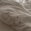 https://cdn.worldota.net/t/{size}/hotel_review/b7/63/b76379b7ca280250ceb81e875c498f6a5c4519a5.JPEG