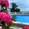 https://cdn.worldota.net/t/100x100/hotel_review/b7/ef/b7ef5786287a44ce0bc5b355ed516b39b59f0216.JPEG
