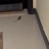 https://cdn.worldota.net/t/100x100/hotel_review/b9/67/b9672e773b4cb2d294f182c8c18934a1a38e251f.JPEG