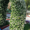 https://cdn.worldota.net/t/100x100/hotel_review/b9/ed/b9edf31fcb86450450469b74cc20f85b455a4ca2.JPEG