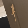 https://cdn.worldota.net/t/100x100/hotel_review/ba/35/ba35d0db57488378c0c5bff986be3af978774370.JPEG