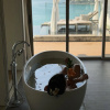 https://cdn.worldota.net/t/100x100/hotel_review/ba/62/ba620d9f3b4afc7b1833d4eba056dddb2496a2d6.JPEG
