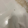 https://cdn.worldota.net/t/100x100/hotel_review/ba/63/ba63561a9aa869477c66ab6dbcf23891d8722e71.JPEG