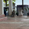 https://cdn.worldota.net/t/{size}/hotel_review/ba/e5/bae516a9bb5f4be29950bbc3445d7219ce17731d.JPEG