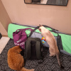 https://cdn.worldota.net/t/100x100/hotel_review/bb/ea/bbeaa0075904463c57155fb806dbb58930e64b79.JPEG
