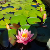 https://cdn.worldota.net/t/100x100/hotel_review/bc/3f/bc3fb0c0b8d350c7b85d7cbb99aba6bb5ba287c6.JPEG