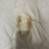 https://cdn.worldota.net/t/{size}/hotel_review/bc/59/bc59496423409bb7c861475b39b00288e6a33185.JPEG