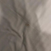 https://cdn.worldota.net/t/100x100/hotel_review/bd/7c/bd7c0a6b6ecf21ced63a5efc44ce626924afbc54.jpeg
