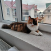 https://cdn.worldota.net/t/100x100/hotel_review/bd/d9/bdd937cad3d306899dd6f6cb4fc8958ef3b19513.JPEG