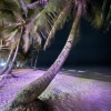 https://cdn.worldota.net/t/{size}/hotel_review/bd/df/bddfd4a526418591b772b9628fc54ff5c6033d18.JPEG