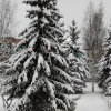 https://cdn.worldota.net/t/{size}/hotel_review/be/95/be95b7d67845ce52916292a706eda5598f6363e6.JPEG