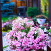 https://cdn.worldota.net/t/{size}/hotel_review/be/fd/befdc2aad92e65d7d0ea323819ee897e1562b743.JPEG