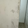 https://cdn.worldota.net/t/100x100/hotel_review/bf/76/bf762491681d3f82b60960f4c0890c6e264cd320.JPEG
