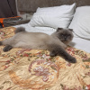 https://cdn.worldota.net/t/100x100/hotel_review/bf/b1/bfb137beb12afdfd0cb0bbd92f600ea85e95baf8.JPEG