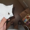https://cdn.worldota.net/t/{size}/hotel_review/c0/76/c07636bcabe2a1b520298ff5bc2ba94905da6bbb.JPEG