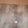 https://cdn.worldota.net/t/100x100/hotel_review/c0/8b/c08b02e790ff435d75d9fa4a7a9e6e764845ae3f.JPEG