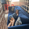 https://cdn.worldota.net/t/100x100/hotel_review/c0/a2/c0a2b31a21c2a207efbd6320c2d6348261951069.JPEG