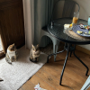 https://cdn.worldota.net/t/{size}/hotel_review/c0/bb/c0bb5374915b40832a3db5883b7be02a85968da3.JPEG