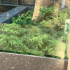 https://cdn.worldota.net/t/100x100/hotel_review/c0/ca/c0caf88e857bacc1ac804ce9dc19bd9efc257a8b.JPEG