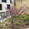 https://cdn.worldota.net/t/100x100/hotel_review/c1/61/c161ca7ba864fae7d9d695f25e61b629e15ada69.JPEG
