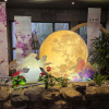 https://cdn.worldota.net/t/100x100/hotel_review/c1/e1/c1e1dd9604c67361b0f6a32fe6c76c086961ad97.JPEG