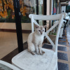 https://cdn.worldota.net/t/100x100/hotel_review/c1/e9/c1e94b4176d75e2582a02b6bf78ec0605a91d5b4.JPEG