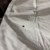 https://cdn.worldota.net/t/100x100/hotel_review/c3/3b/c33b57bd3016c7a949db4c74f369297b87e5740a.JPEG