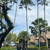 https://cdn.worldota.net/t/{size}/hotel_review/c3/3b/c33b91e9998cfc9a7d9b3e36fe9b264ffa8cc64a.JPEG