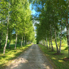 https://cdn.worldota.net/t/100x100/hotel_review/c3/51/c351d39ec61feccbe103395cd13ede0df86948d0.JPEG