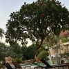 https://cdn.worldota.net/t/100x100/hotel_review/c3/6a/c36a40899d4cc1f552cedb76ba4b75cda4fc428b.JPEG
