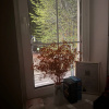 https://cdn.worldota.net/t/100x100/hotel_review/c3/de/c3de83681c24befa08a2969216a0144fed6cd3d6.JPEG
