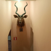 https://cdn.worldota.net/t/100x100/hotel_review/c4/af/c4af66a65651ae491dd4d7e288d755dd0b8ca189.JPEG